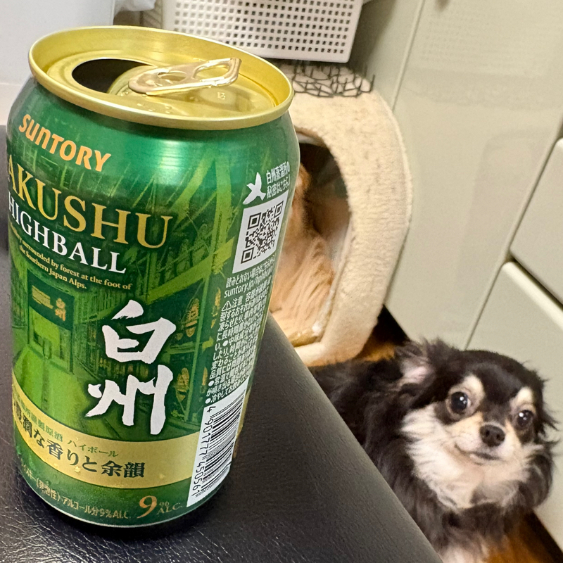タケオくんに買ってもらった1本800円の白州のハイボールを飲んだ次男が、しゃべるしゃべる#675