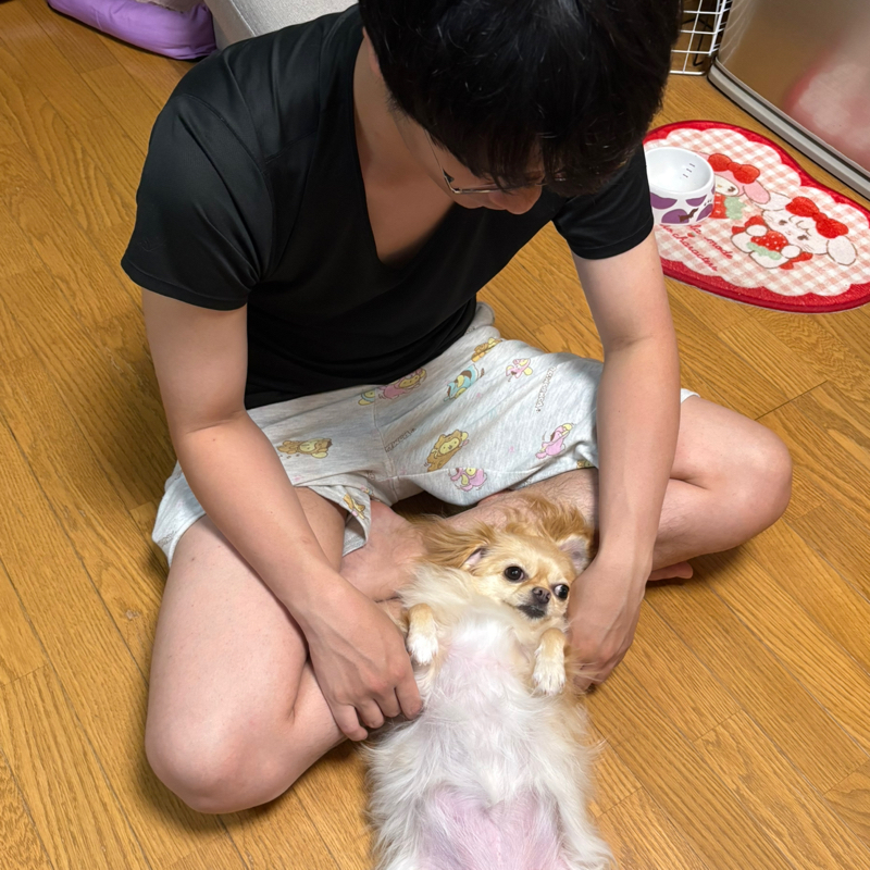 欠席扱いされてしまったラベ。長男がラジオトークをいきなり始めた回#676