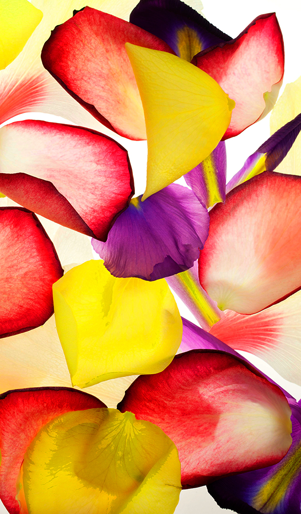 えー！時間切れｗｗｗ