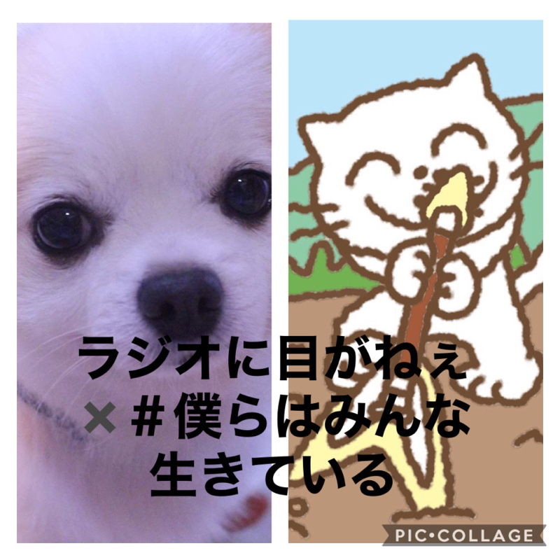 第175回ラジオに目がねぇ　初コラボ。牛人（うしんちゅう）さんに目がねぇ from Radiotalk episode artwork