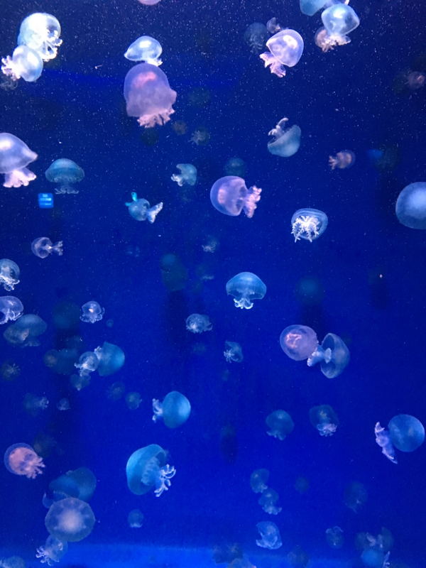 常盤躁オタク二人で限界トーク