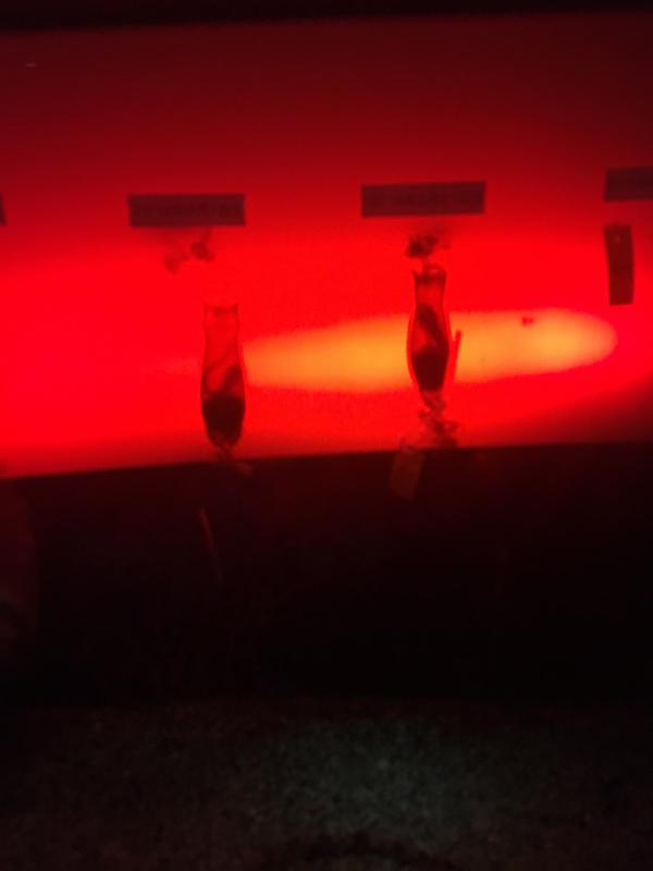 スーパーナチュラルとビバップの2次創作の話