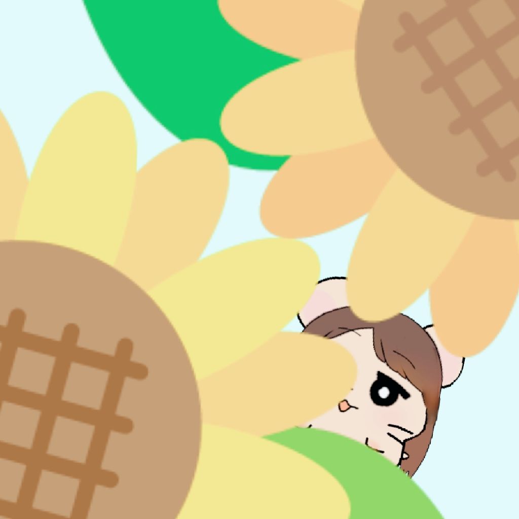 はむたん🐹