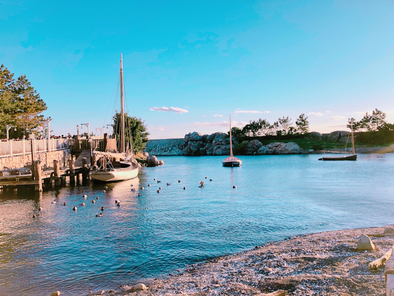 とかげのラジオin the 森