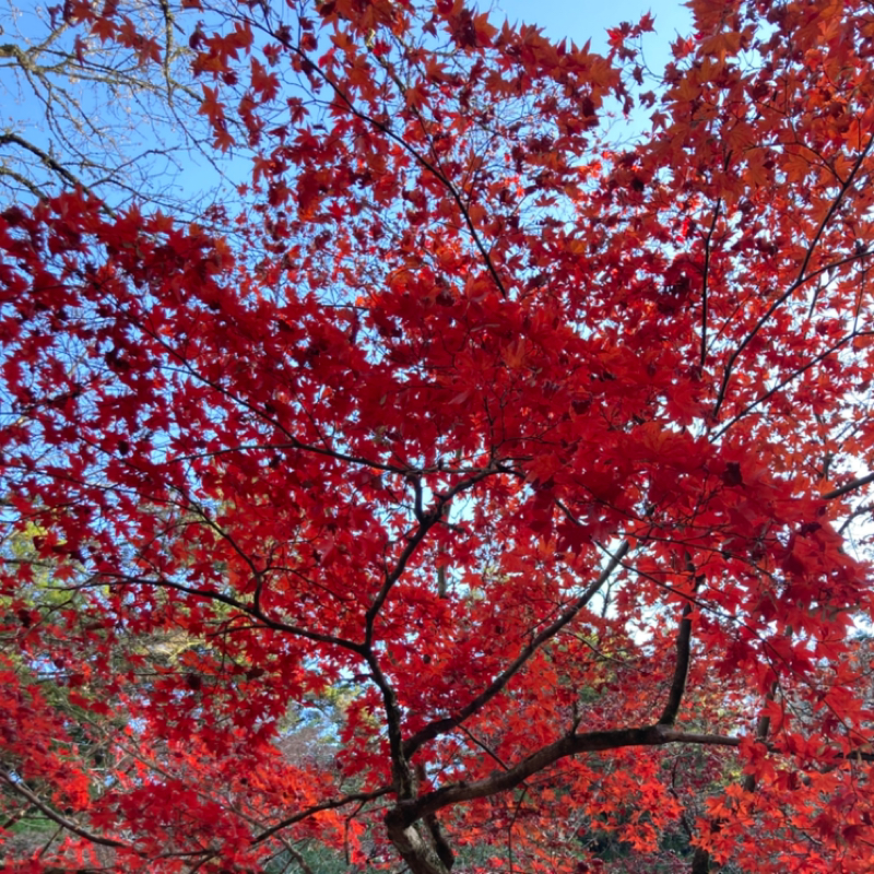 Ep10 いつだって感謝を