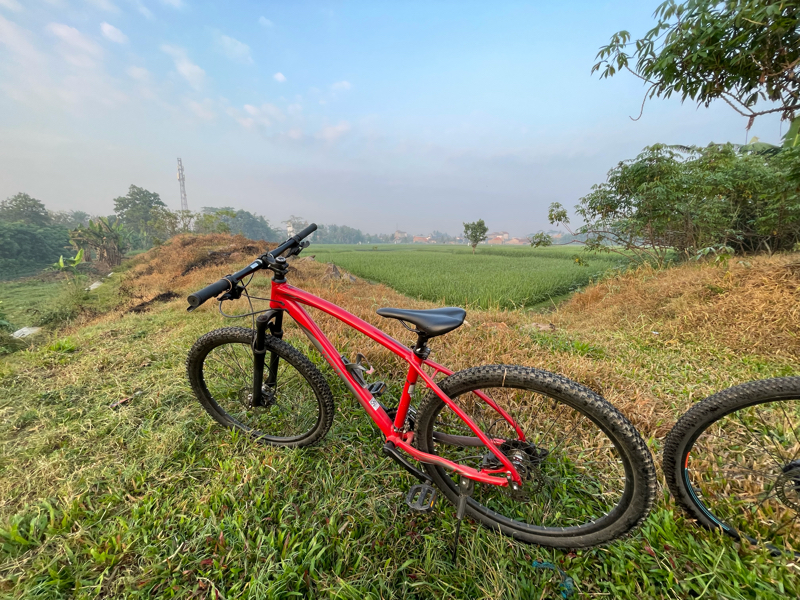 #5メンタルモデル「無価なしモデル」な私