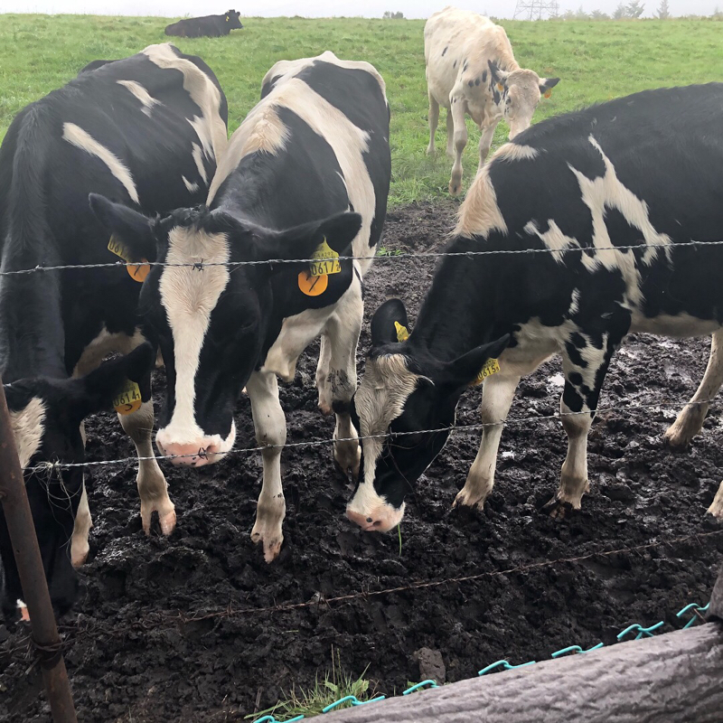 01.初回なので自己紹介？