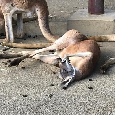 #1 はじめまして！亜蘭忠です。