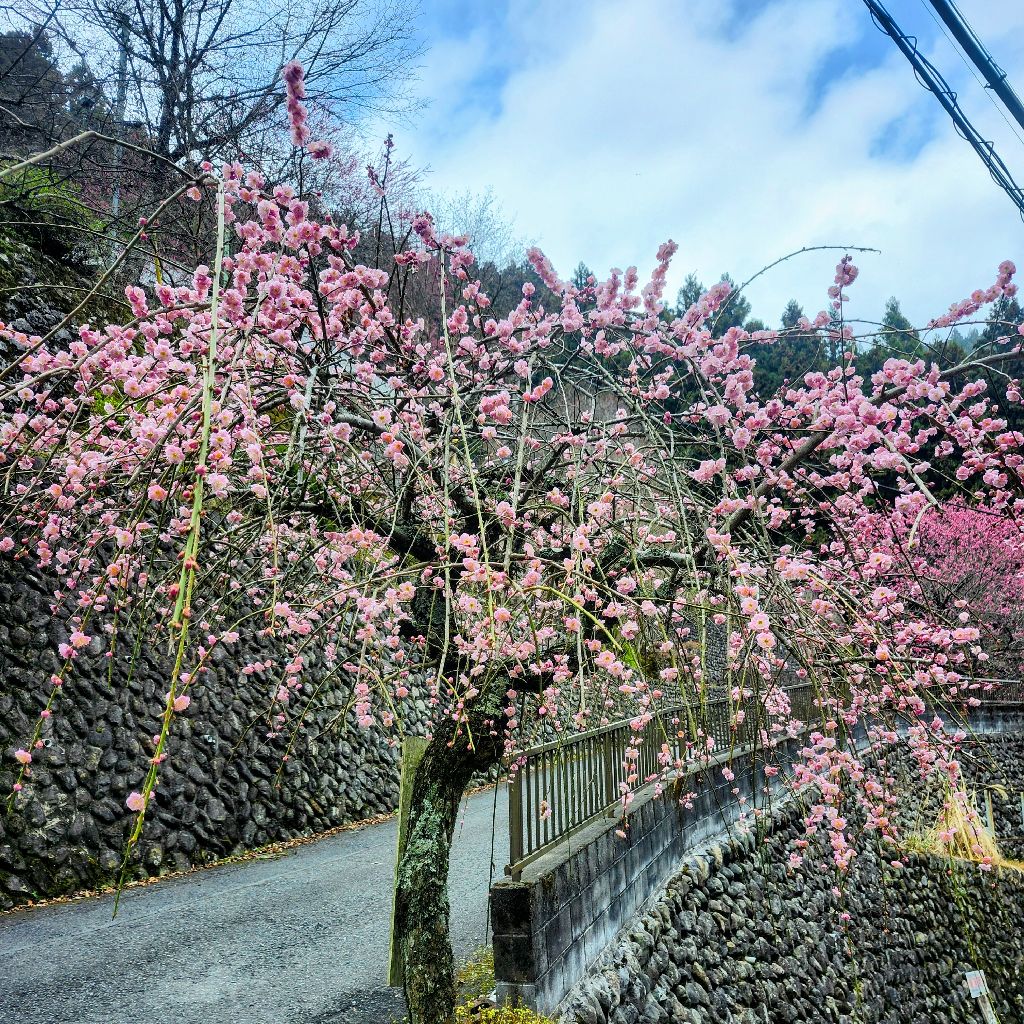 はじまる、はじめる