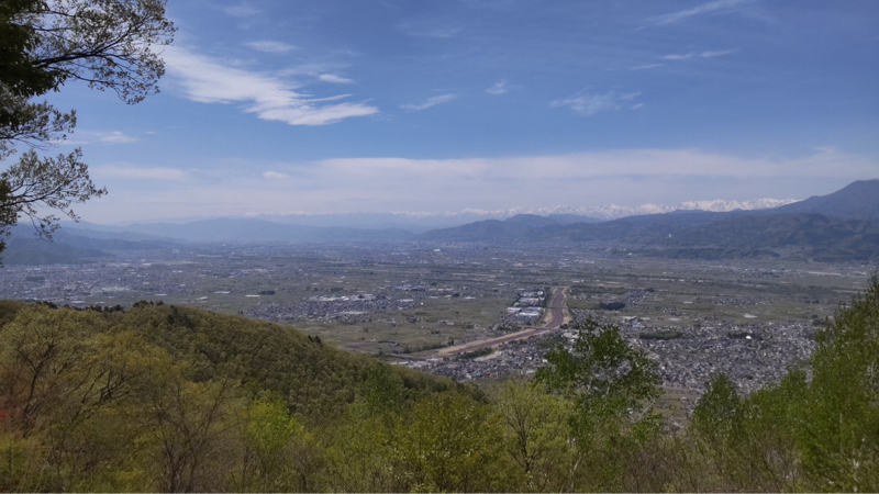 今期はこれで終了と、そうは問屋が下さない話し #310