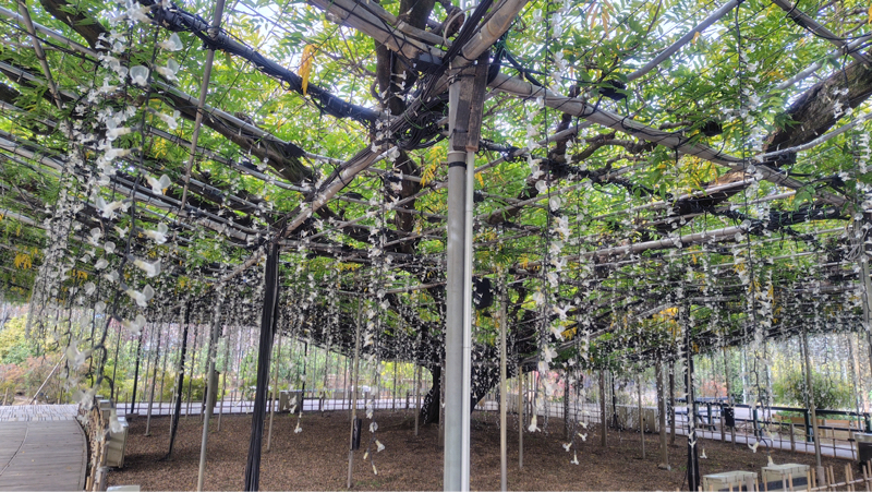 駅伝のプレッシャーに苦しみながら研修旅行に行く話し