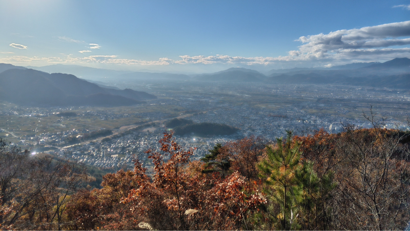 流行りの病がに憑かれてしまったけど、大会は間近だよの巻　#313