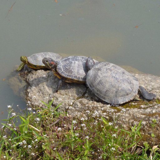 くりつるラジオが聞きたい2