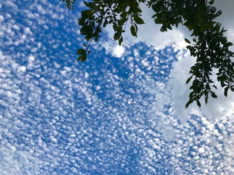 #11 セールスポイント求ム