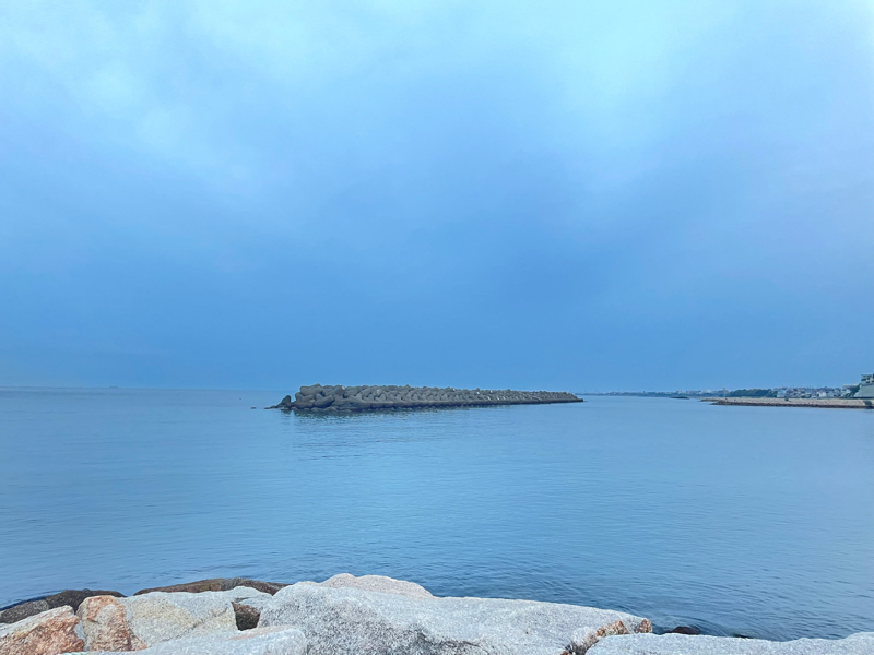 さばのお部屋 F3