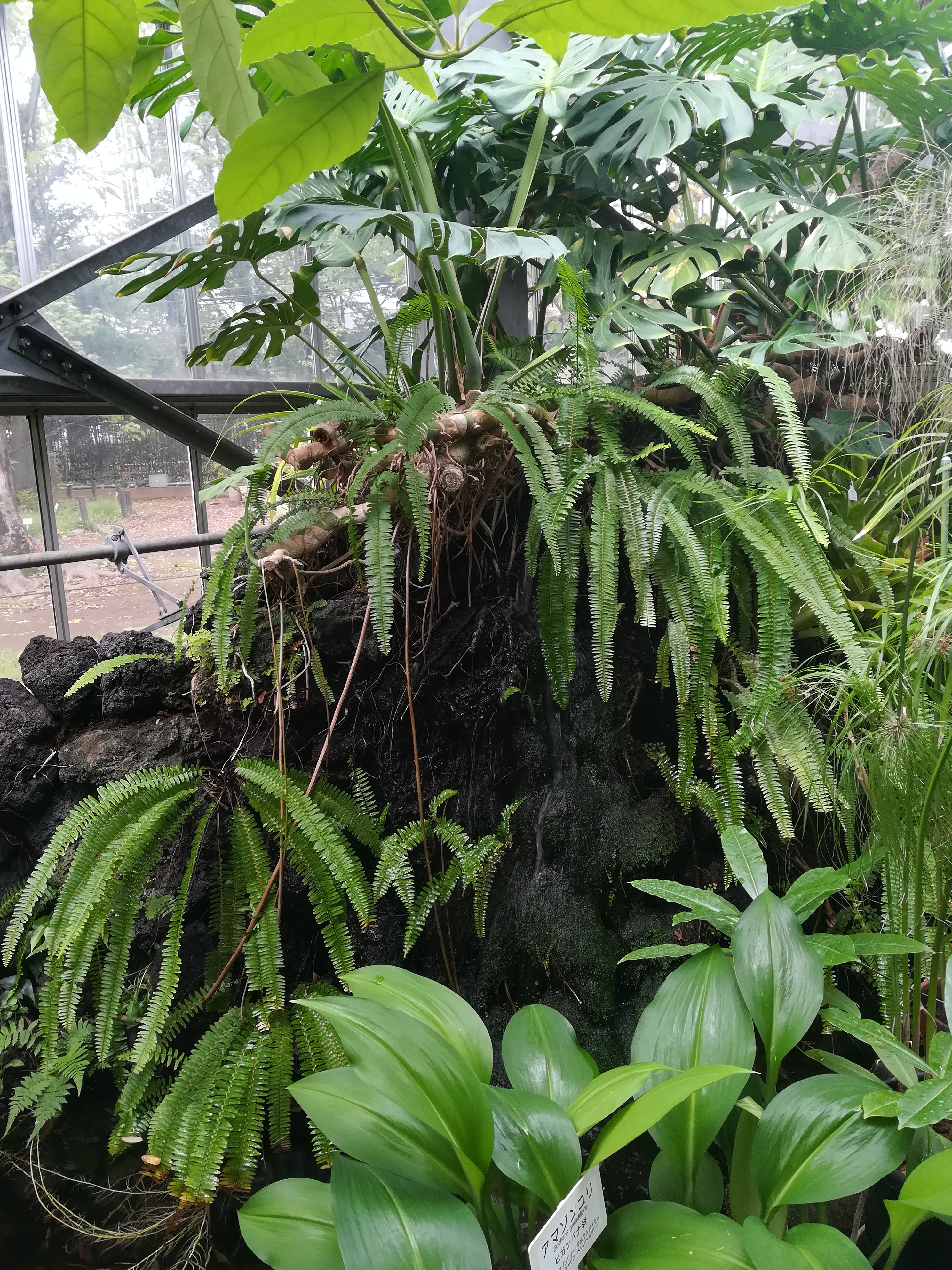 一人でぶつぶつしゃべるやつ