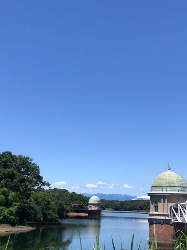 君の味方の歌詞から感じたこと