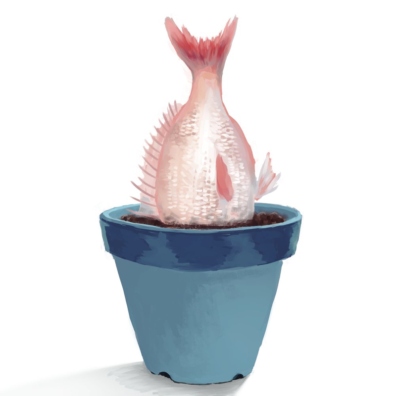 #6 ブックオフ行くことある？