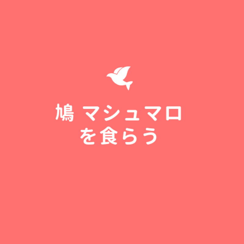鳩はマシュマロキャッチを食らう