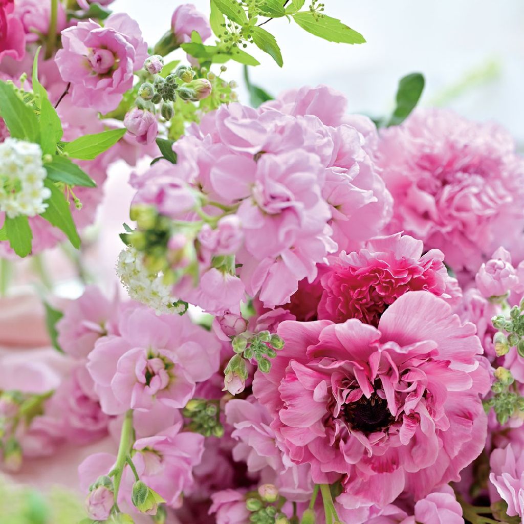 21. 片思いシリーズ3  体育会サッカー部Nさん