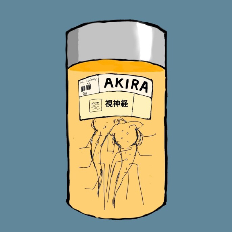 格闘技のお話 続き