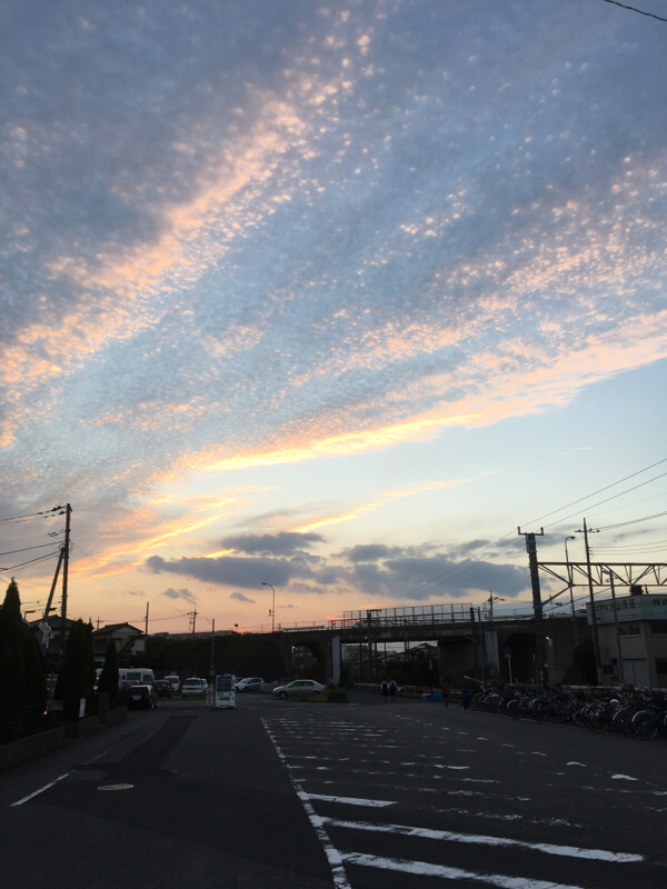 レディオナカムラ001