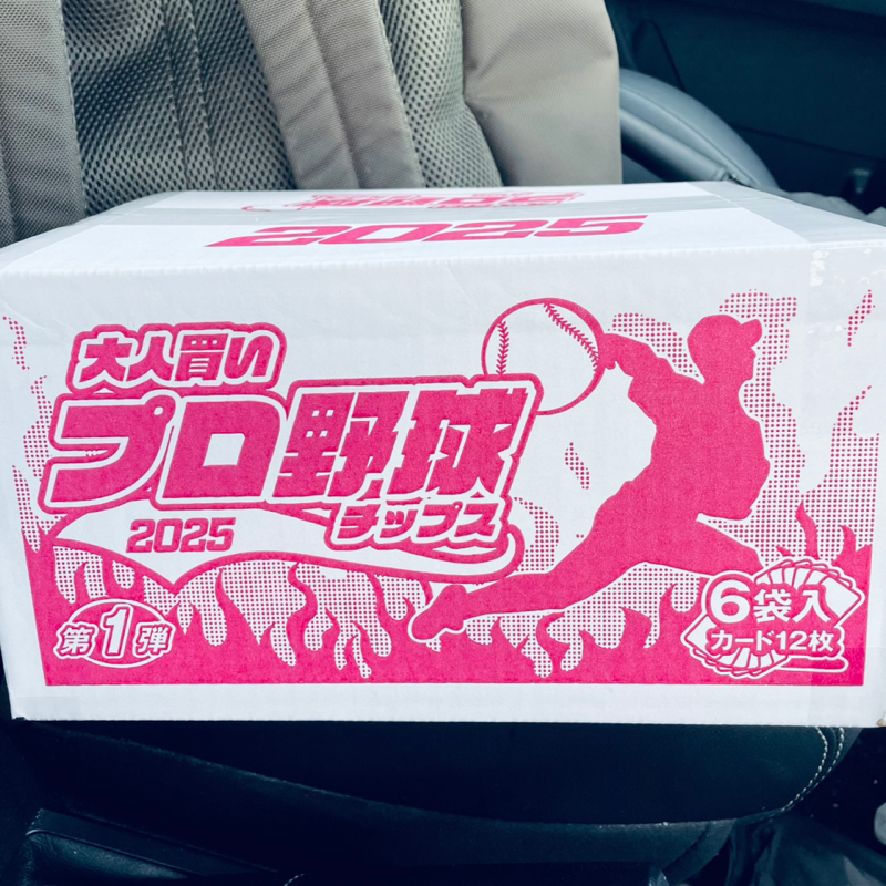 プロ野球オールスターと甲子園地方大会・決勝戦