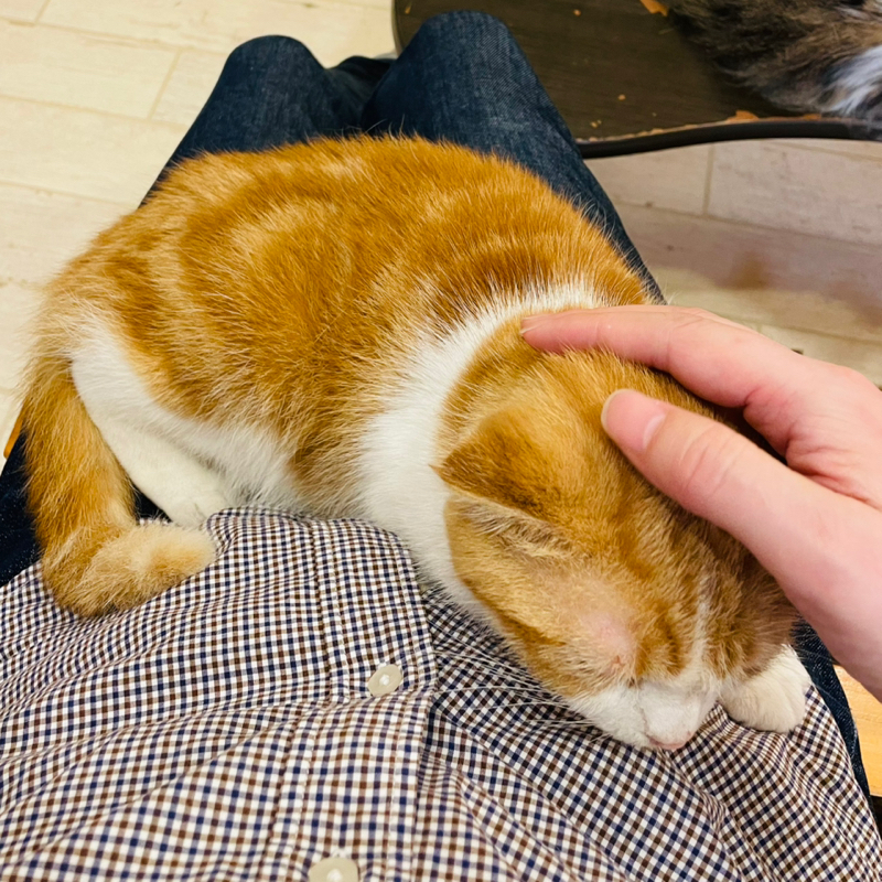 ウズマキ