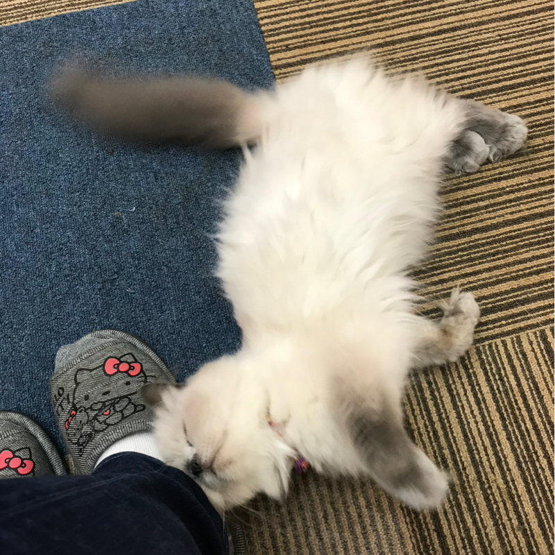 ウズマキ