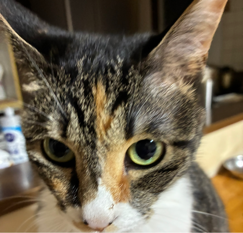 #179 まさはしばらくお休みです!