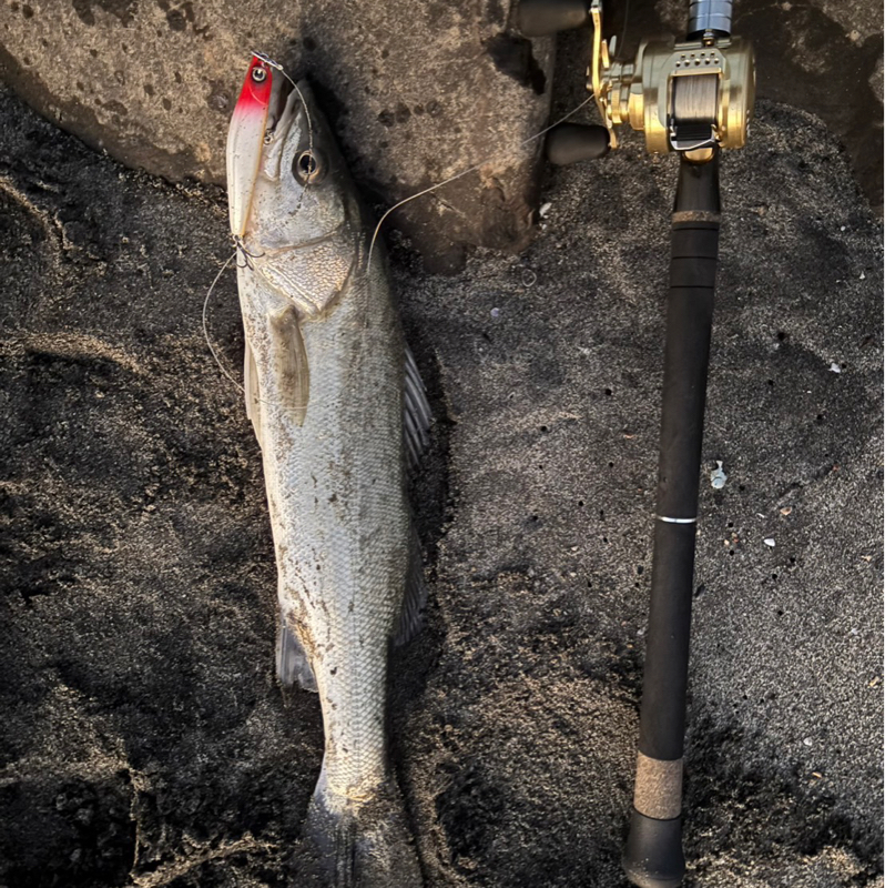 ♯185 初めての山形観光