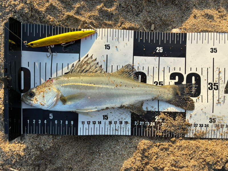 ♯186 病院と整骨院でどっちが正しいの？