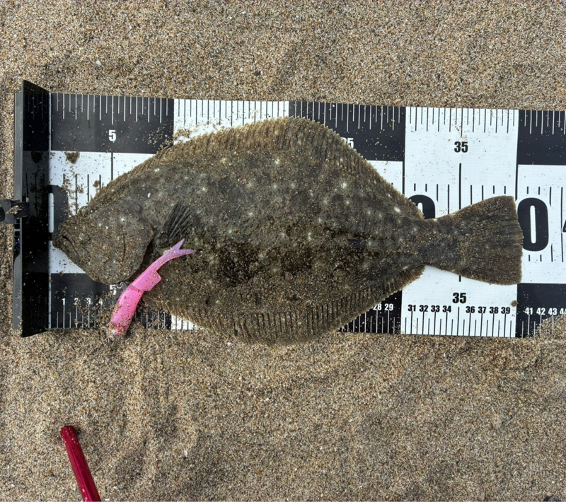 ♯187 年末はみんなギャンブルしようよ！