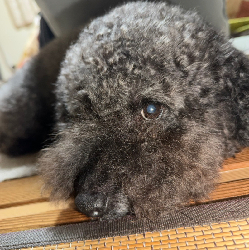 ♯197 5日間下がらない発熱