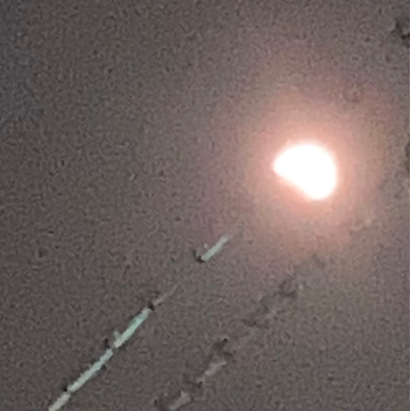 第35回　クロマニヨンズと恋愛