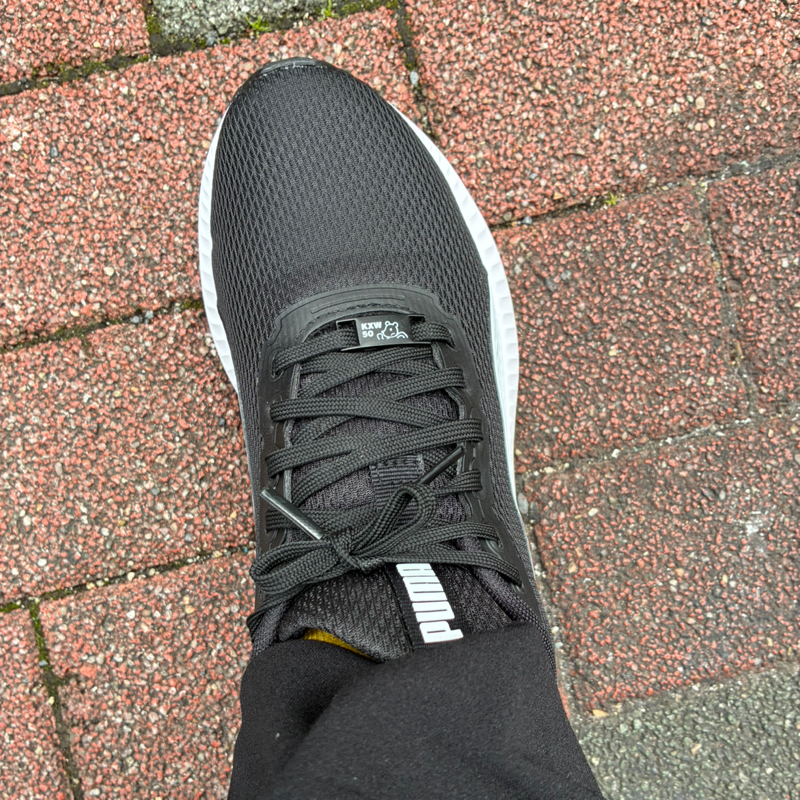 第51回　おニューの靴と常盤貴子似