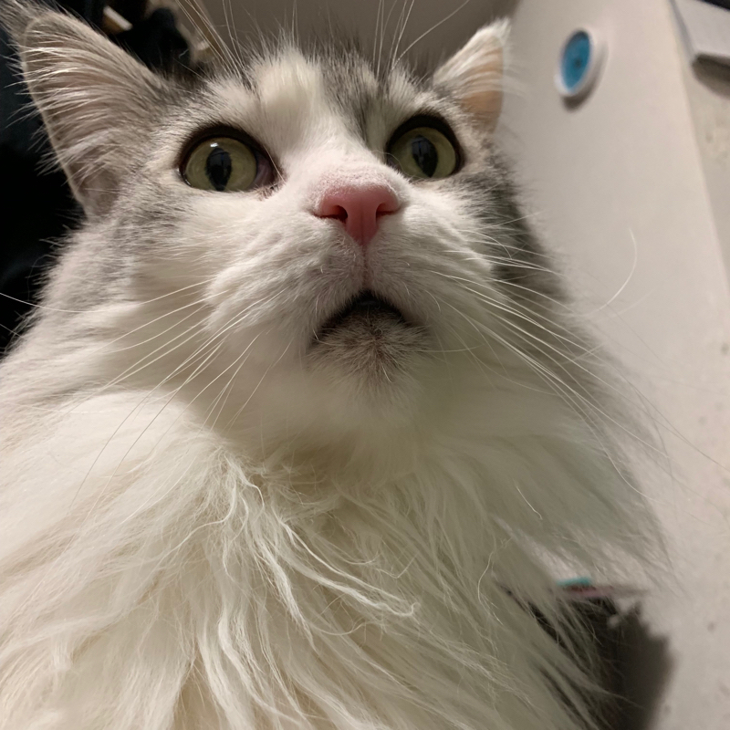 #81  おとといきやがれ！！な話