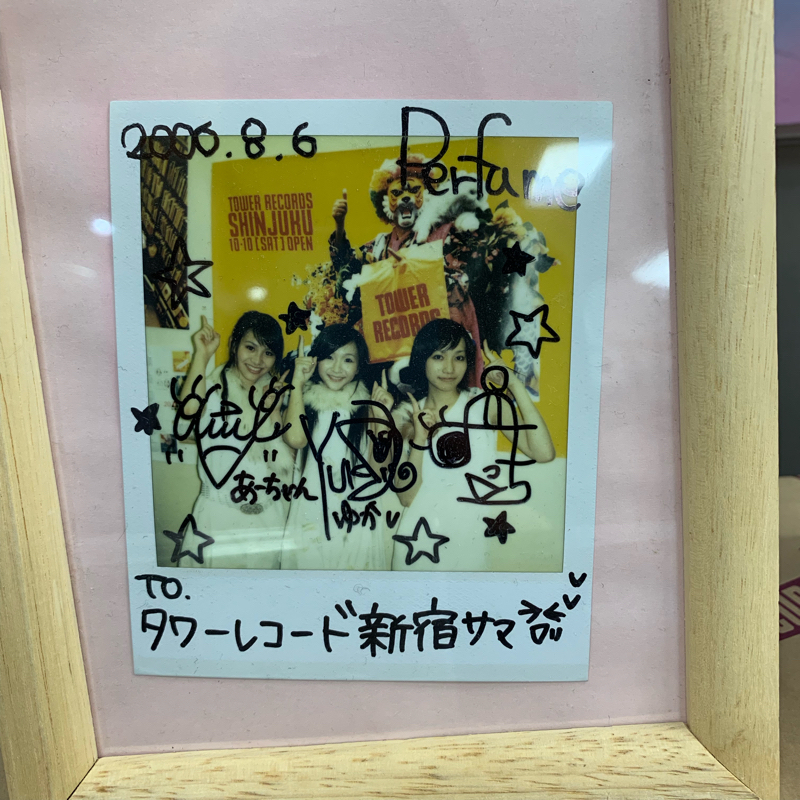 来世は猫になりたい。