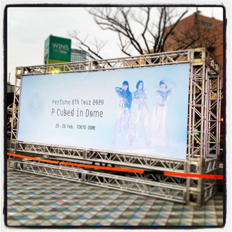 来世は猫になりたい。