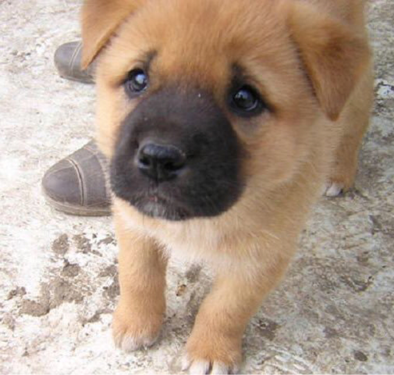 さ…ふぇすのこととか