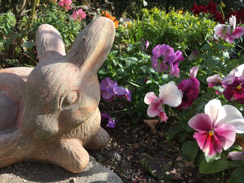 はちゅろくの部屋 [自己紹介]