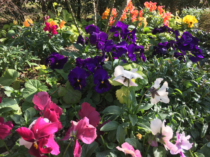 はちゅろくの部屋 [風邪をひいたらすること5つ]