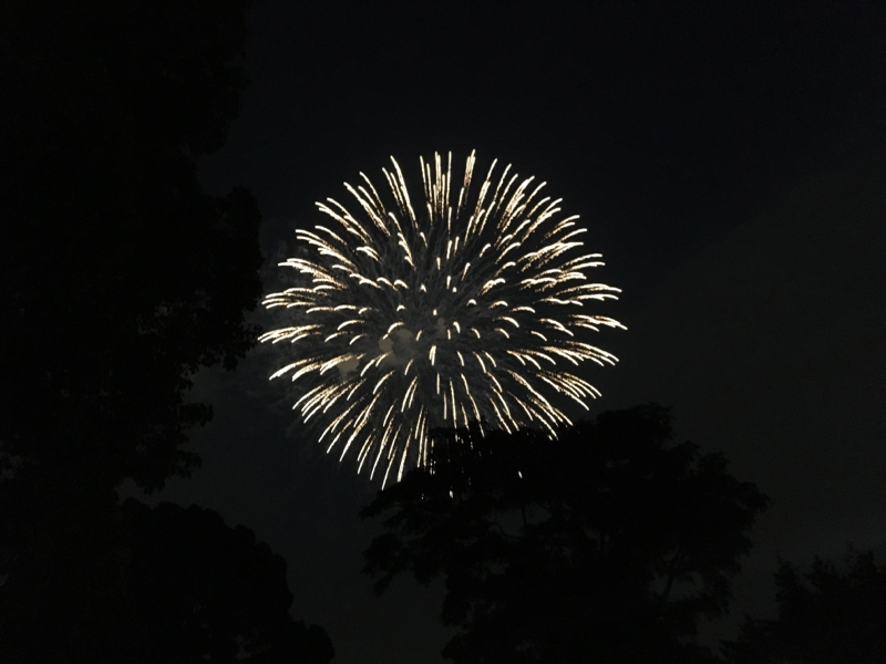 ヤナギーといっしょ