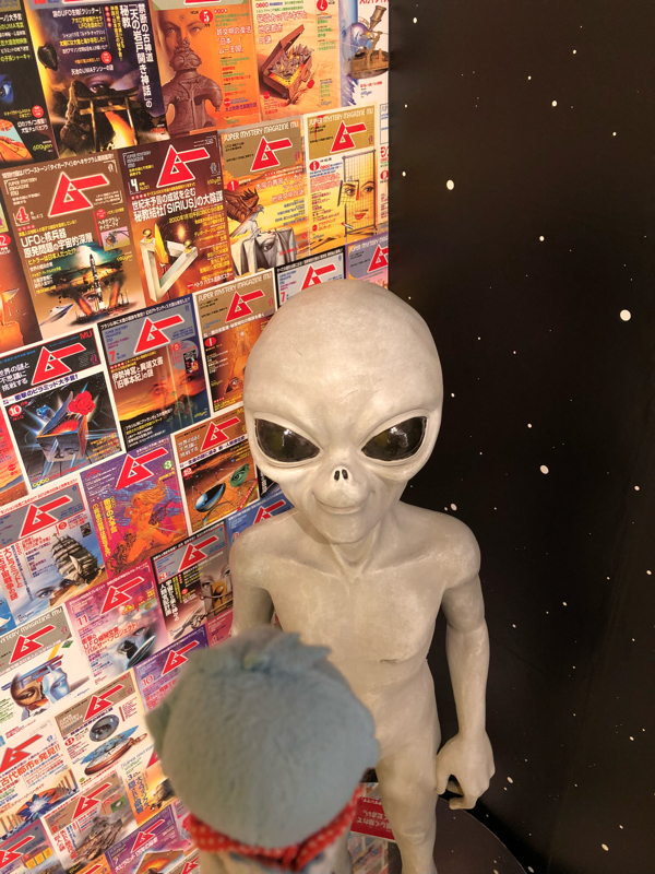 ヒメチャンとぼく