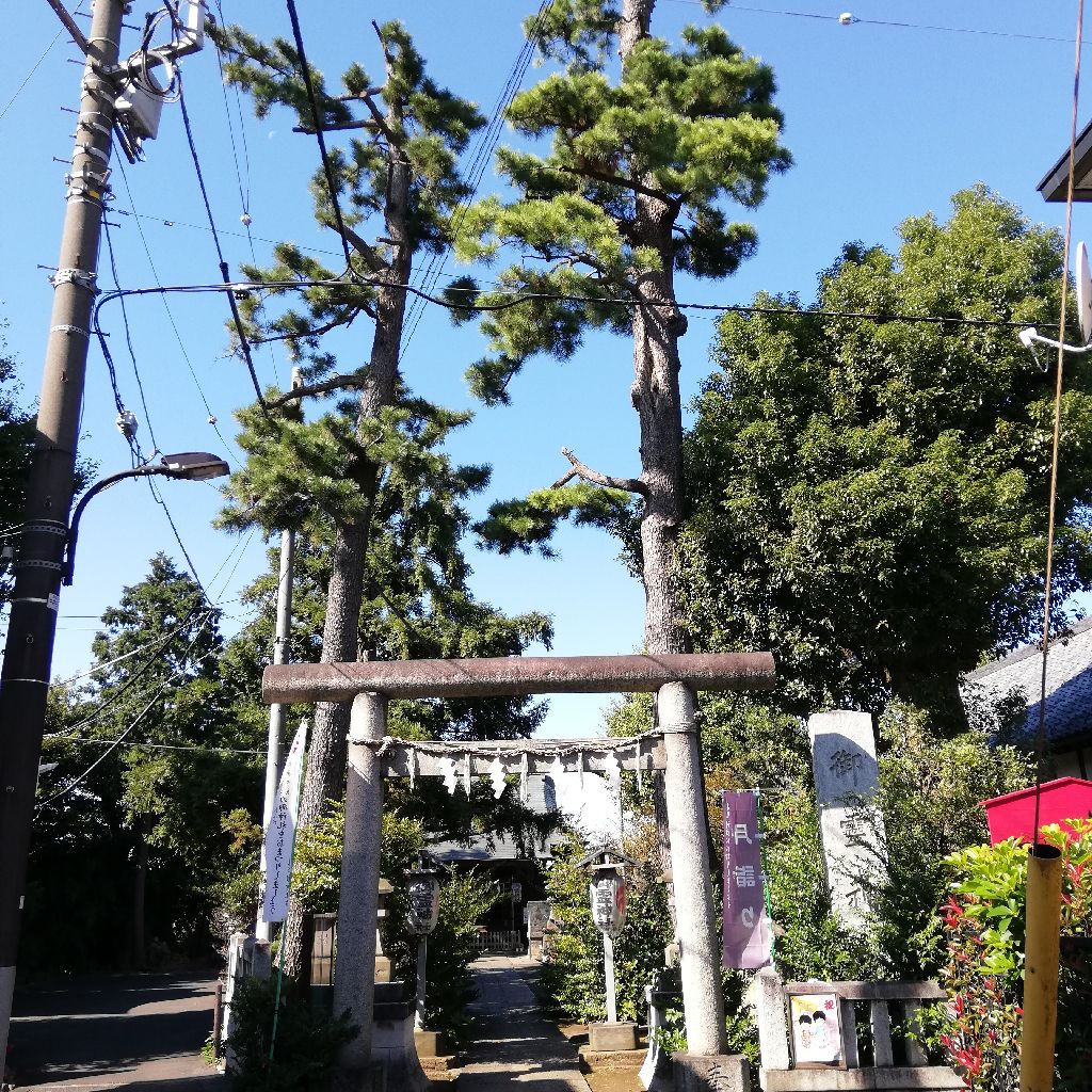 中井御霊神社　お参り from Radiotalk episode artwork