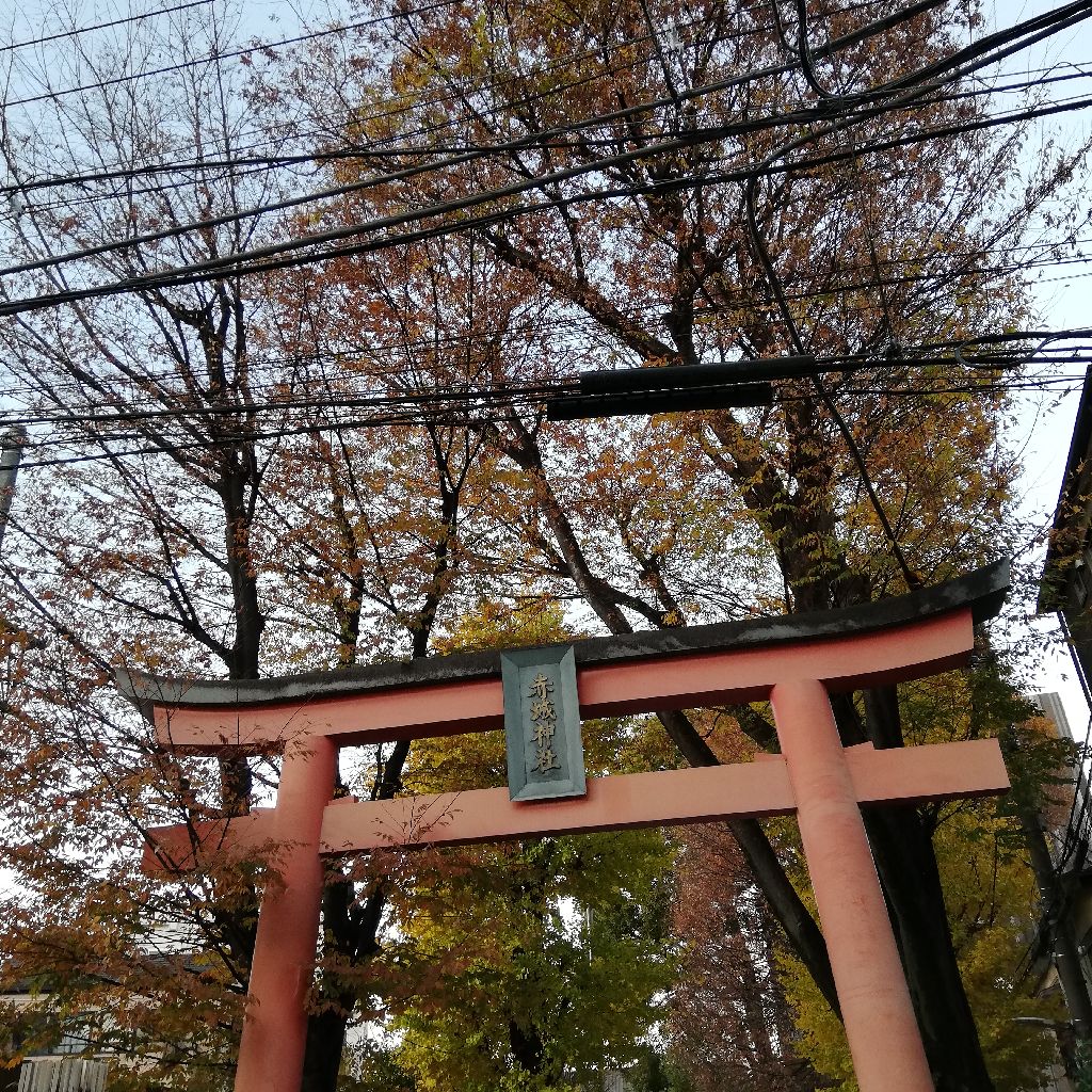 神楽坂　赤城神社(スター揃い) from Radiotalk episode artwork