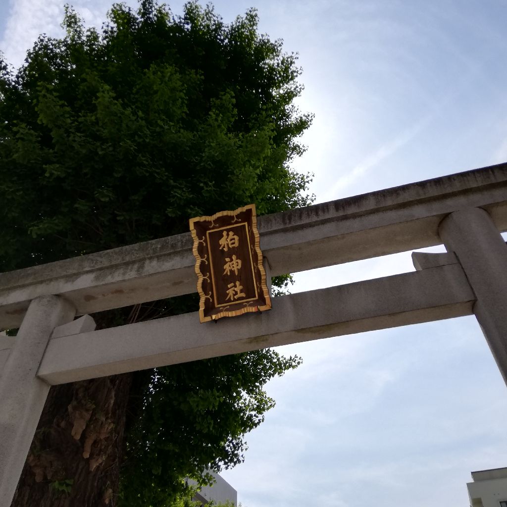 柏神社⛩️  参拝 from Radiotalk episode artwork