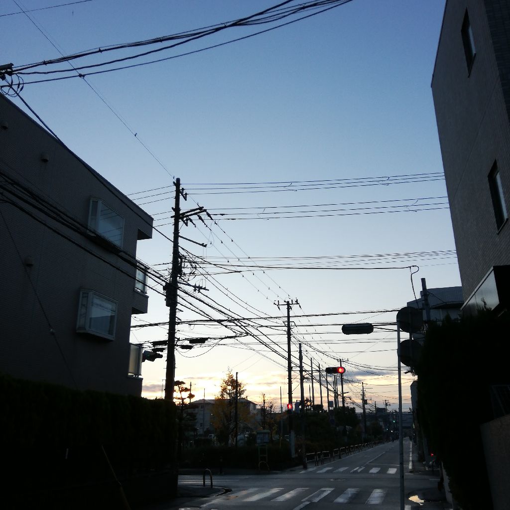 11/30  6時半の声日記☡✍ from Radiotalk episode artwork