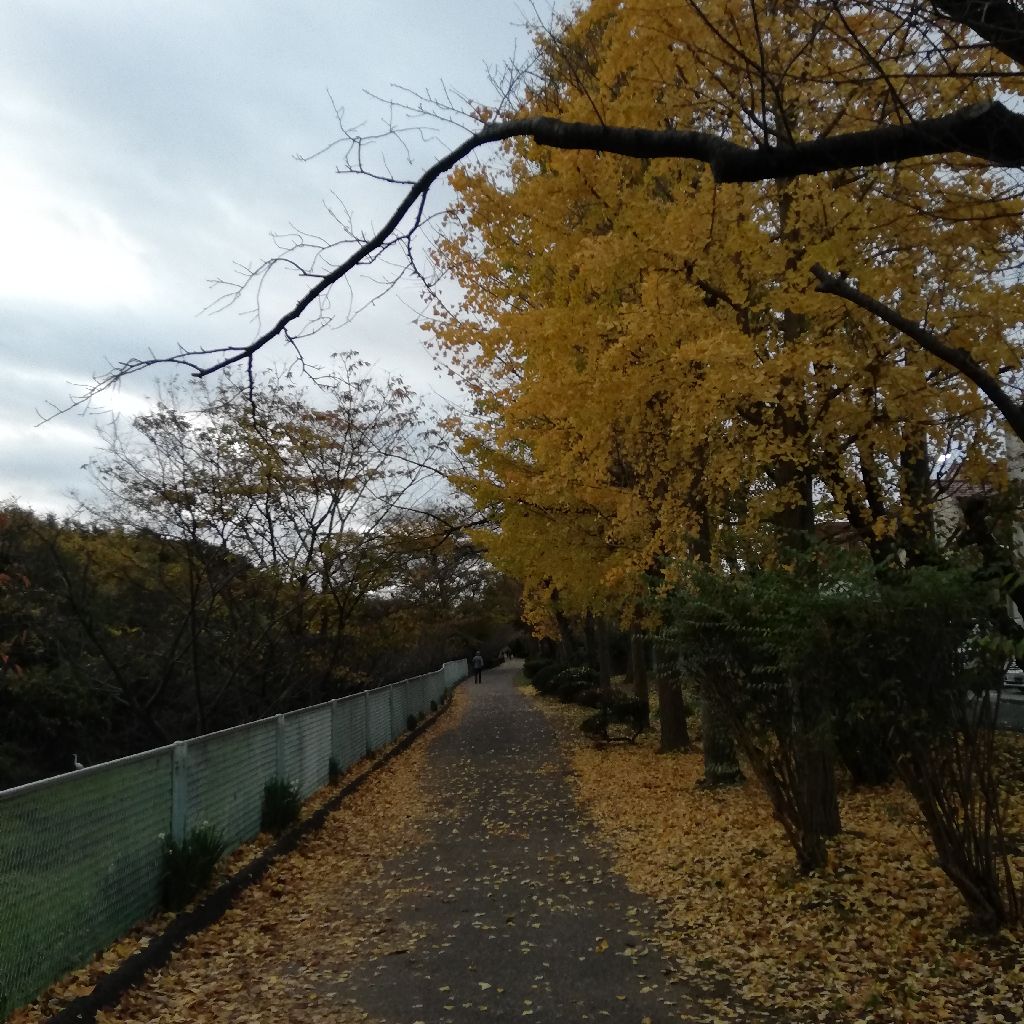12/3 6時半の声日記☡✍ from Radiotalk episode artwork
