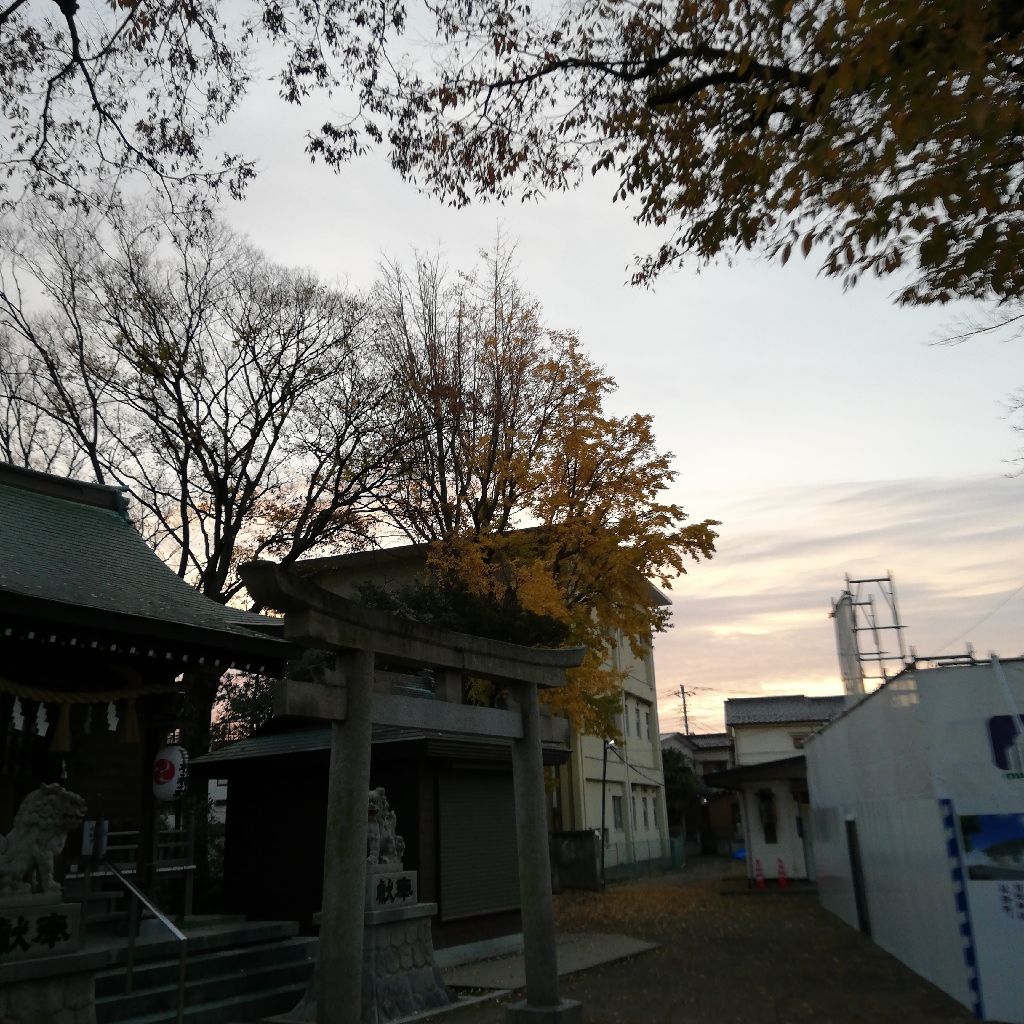 12/11 6時半の声日記☡✍ from Radiotalk episode artwork